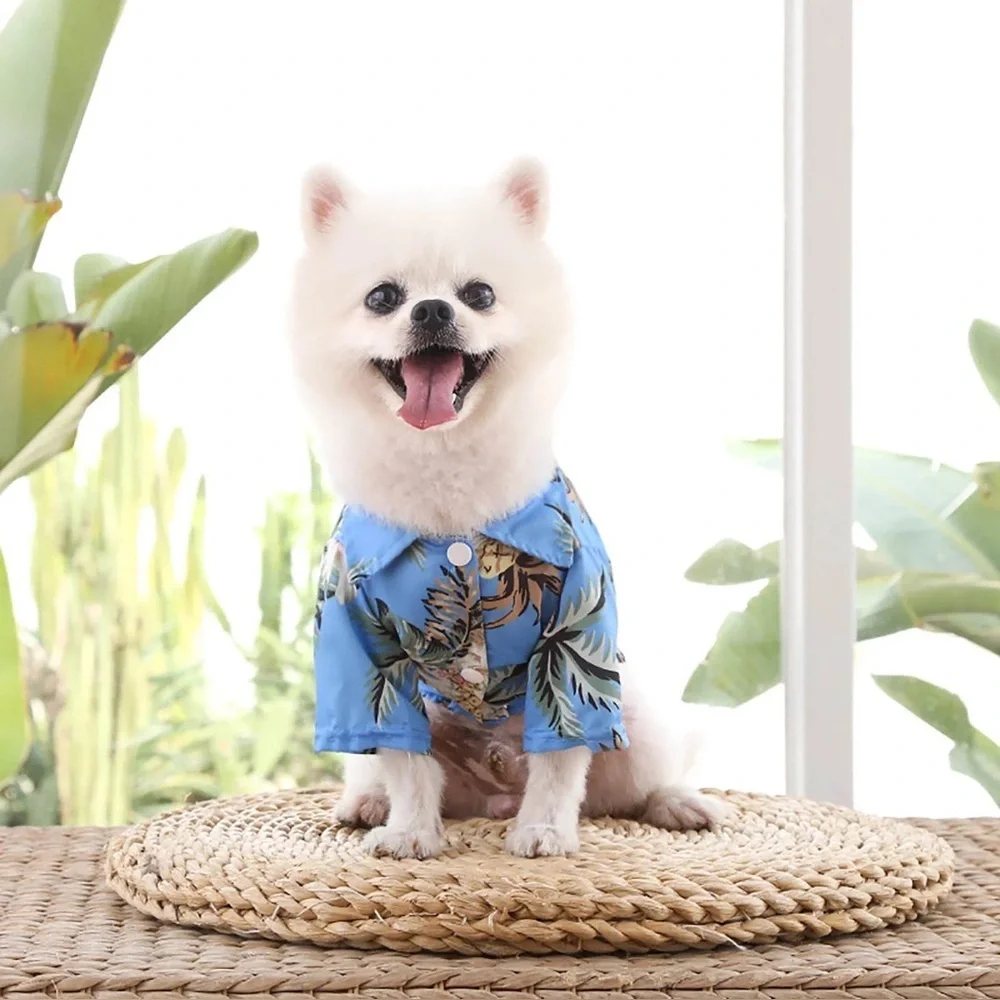Hawaiian Beach Coconut Tree Print Dog Shirt Summer Camp Shirt Clothes (Blue, M)